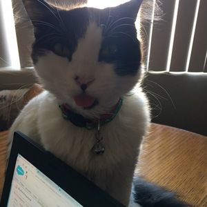 Meet your Posher, Sophie